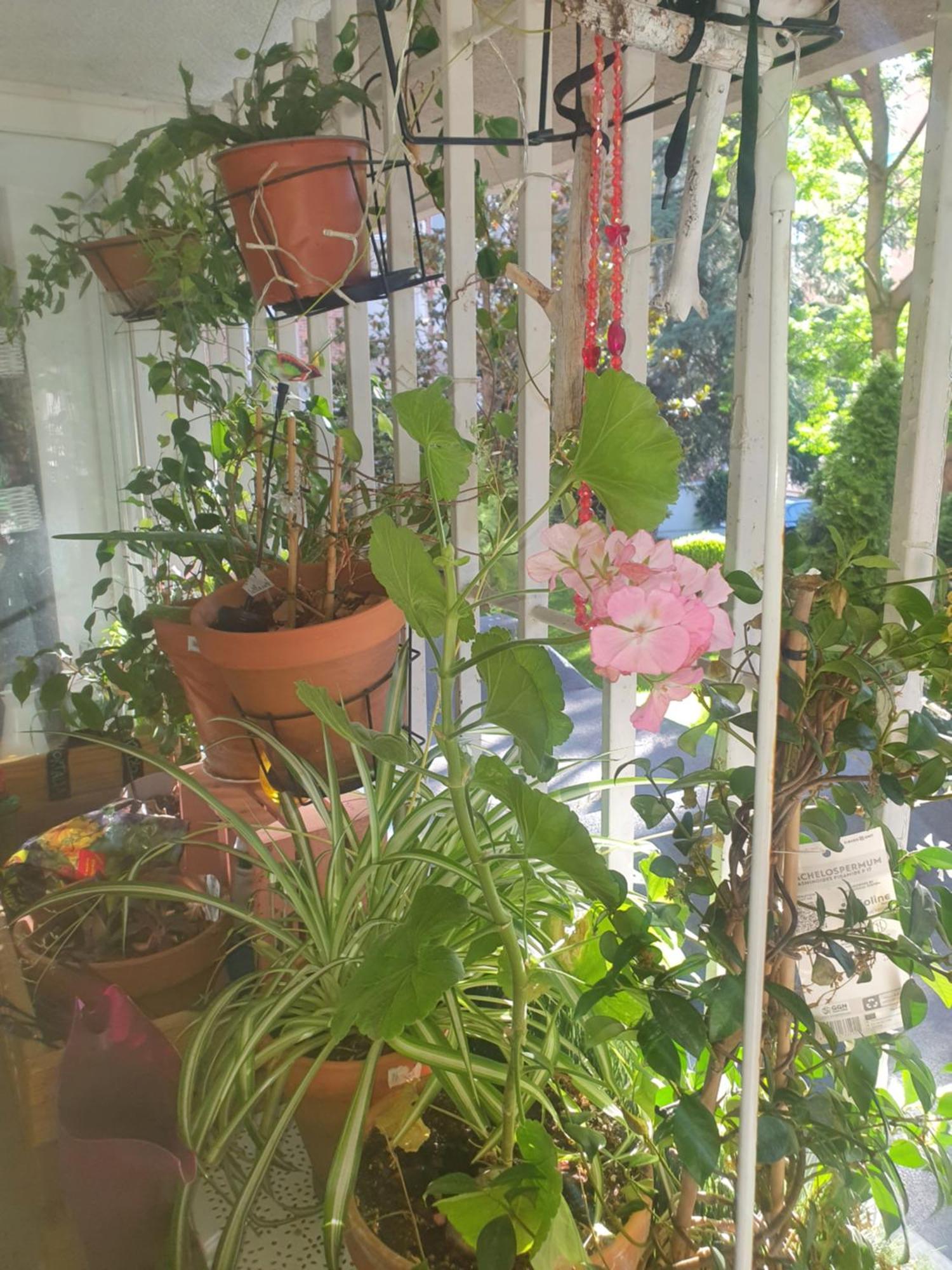 Appartamento Libros Y Plantas A 5 Minutos Del Centro En Bus Madrid Esterno foto